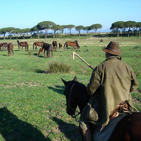 San Quirico  Agriturismo Biologico Sant'Egle מראה חיצוני תמונה