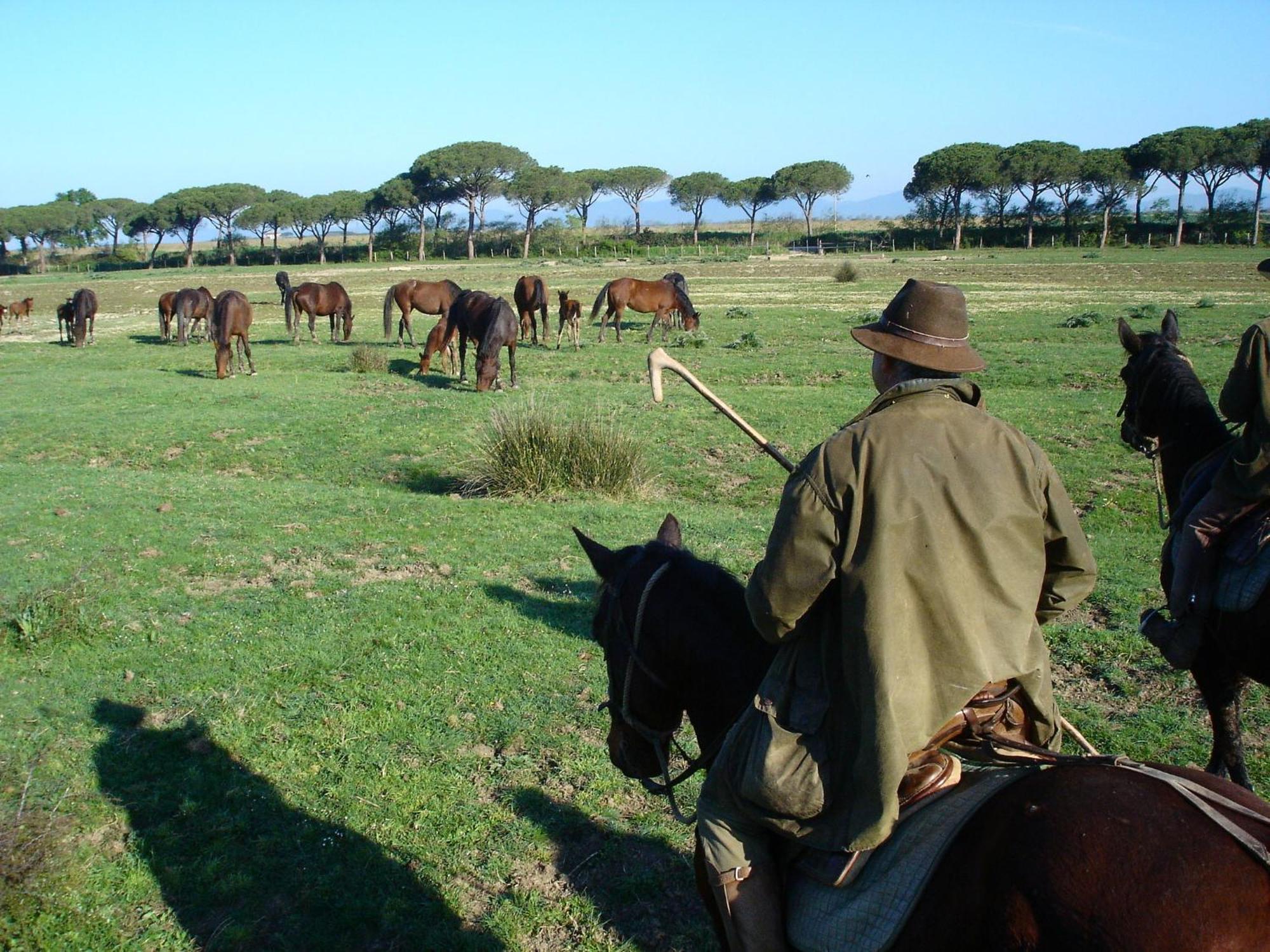 San Quirico  Agriturismo Biologico Sant'Egle מראה חיצוני תמונה